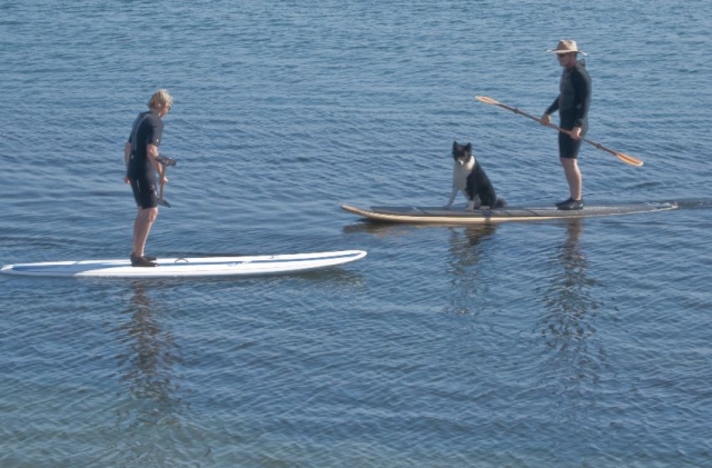  a sport for everyone 